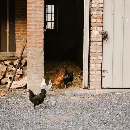 A La Ferme Du Ry * Dinant
